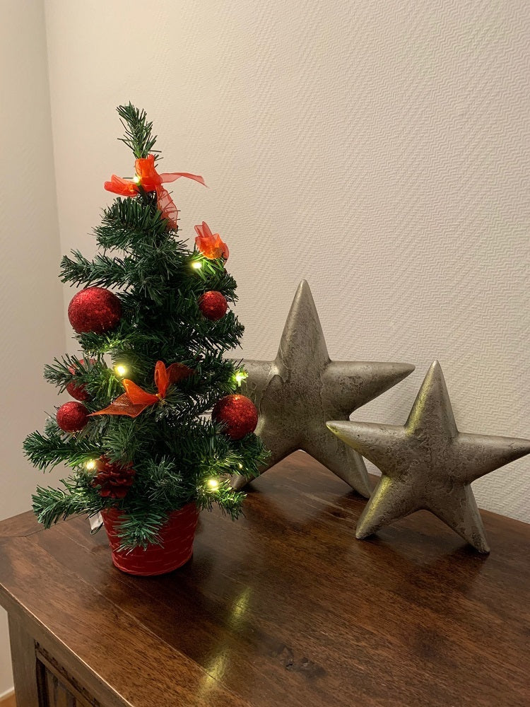 LED-Mini-Weihnachtsbaum 50 cm – geschmückt mit 20 LEDs